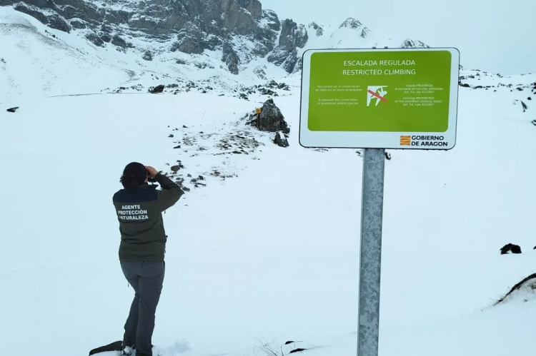 Denuncias por esquiar y escalar en zonas restringidas por la cría del quebrantahuesos