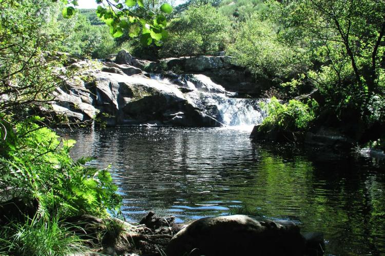 ​El Camino de Santiago Francés por el Bierzo y Galicia, una experiencia sensorial única