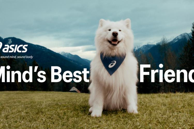 Felix el Samoyedo, nuevo rostro de ASICS en una campaña que celebra el poder del movimiento