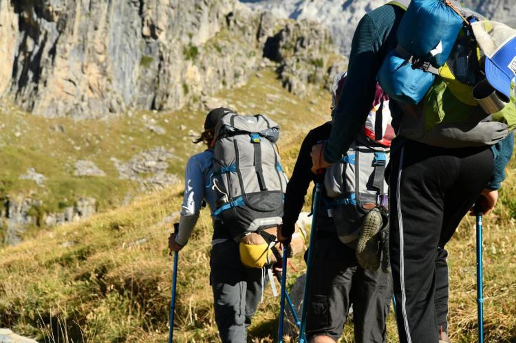 Guía de bastones de trekking: ¿Una ayuda o un estorbo para caminar?